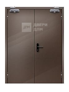 Двупольная ДПМ-02 EI-45 противопожарная дверь глухая с выпадающим порогом